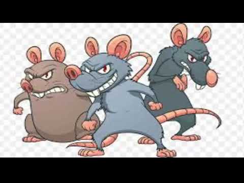 Jerry SinMoral X Jhon Dragunov - Gruñido