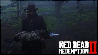 HOW TO GET A LEGENDARY FISH BACK IF YOU LOSE IT!! - Red Dead Redemption 2 Tips & Tricks