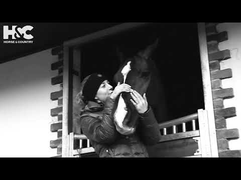 Farewell to two true legends of our sport, Valegro and Uthopia ❤️