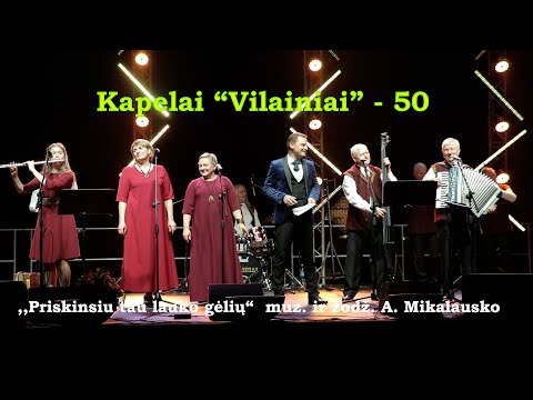 Kapelai "Vilainiai" - 50 "Priskinsiu tau lauko gėlių", m. ir ž. A. Mikalausko 2024 04 07