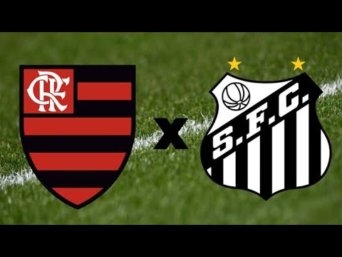 Flamengo 2x0 Santos | Brasileiro 06/09/2001 | Melhores momentos