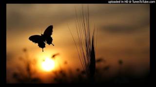 Lenny Kravitz - Butterfly