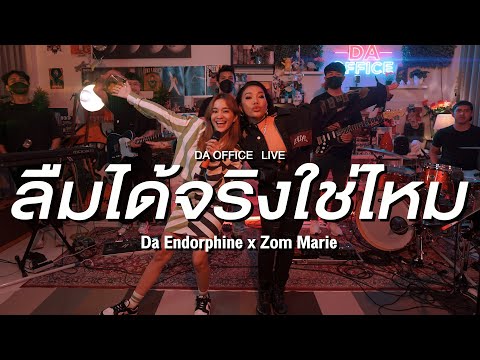 Zom Marie x Da Endorphine - ลืมได้จริงใช่ไหม (Da Office Live)