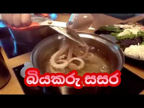 බියකරු සසර Lassana Derana ලස්සන දෙරණ