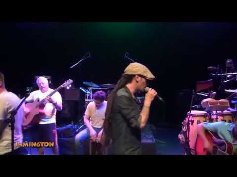 JAMINGTON - Addictology Acoust. Version