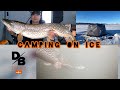 Video Thumbnail for Winter Camping | Ice Fishing for Northern Pike! (Underwater footage!)