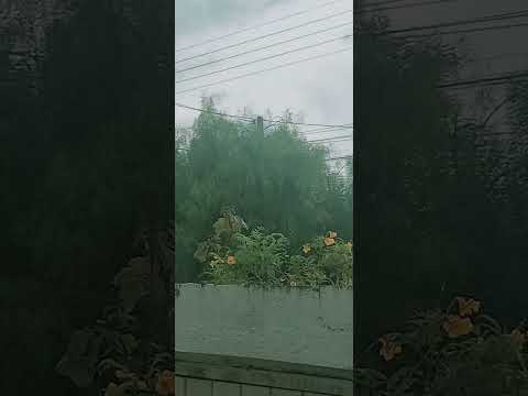 nuvens para chuva + tarde. Pirassununga SP 12.12.2025 13:30 horas.