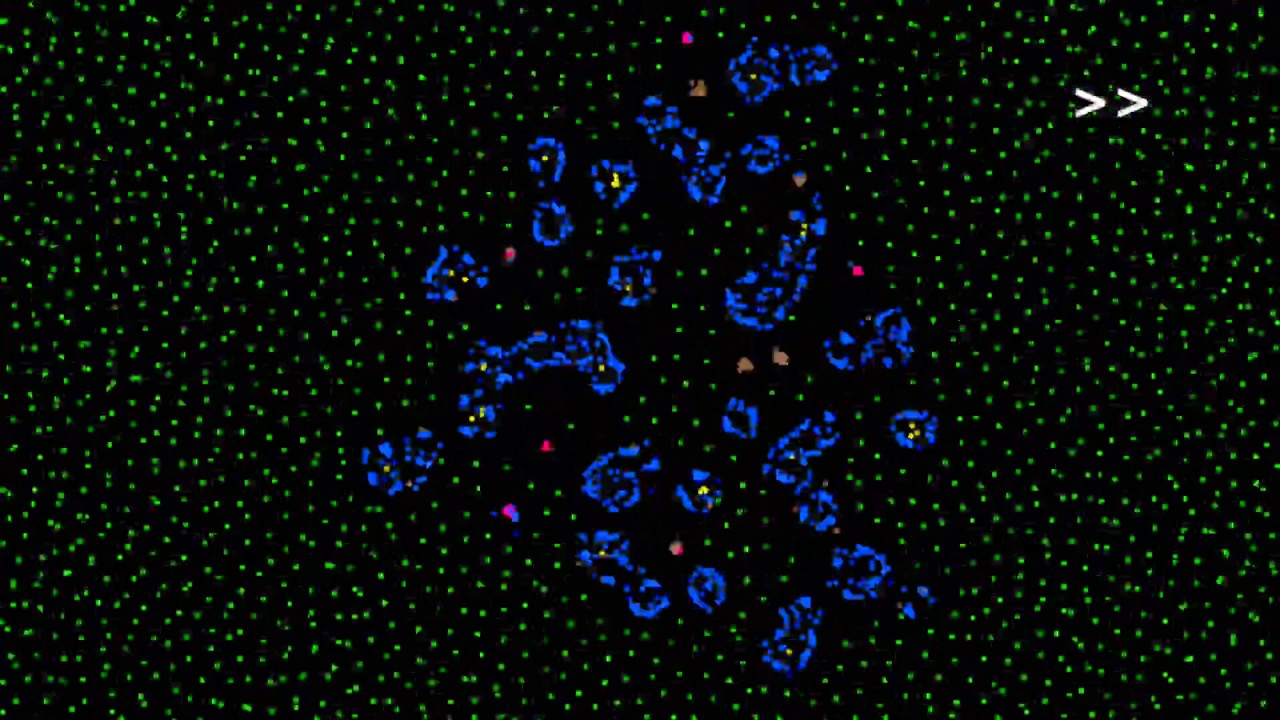 Video: How life emerges from a simple particle motion law: Introducing the Primordial Particle System