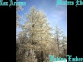 Nox Arcana-Fading Embers (Winters Eve)