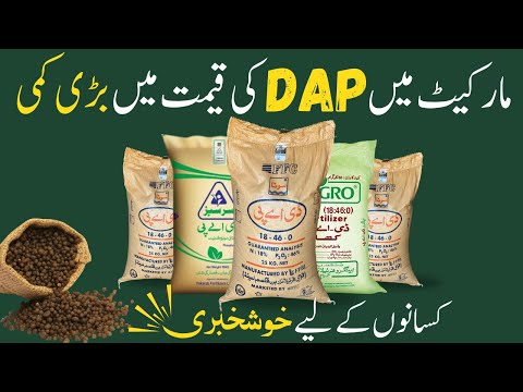DAP Khad Rate Today | D A P Price Today | Sona, Engro, Sarsabz DAP Price
