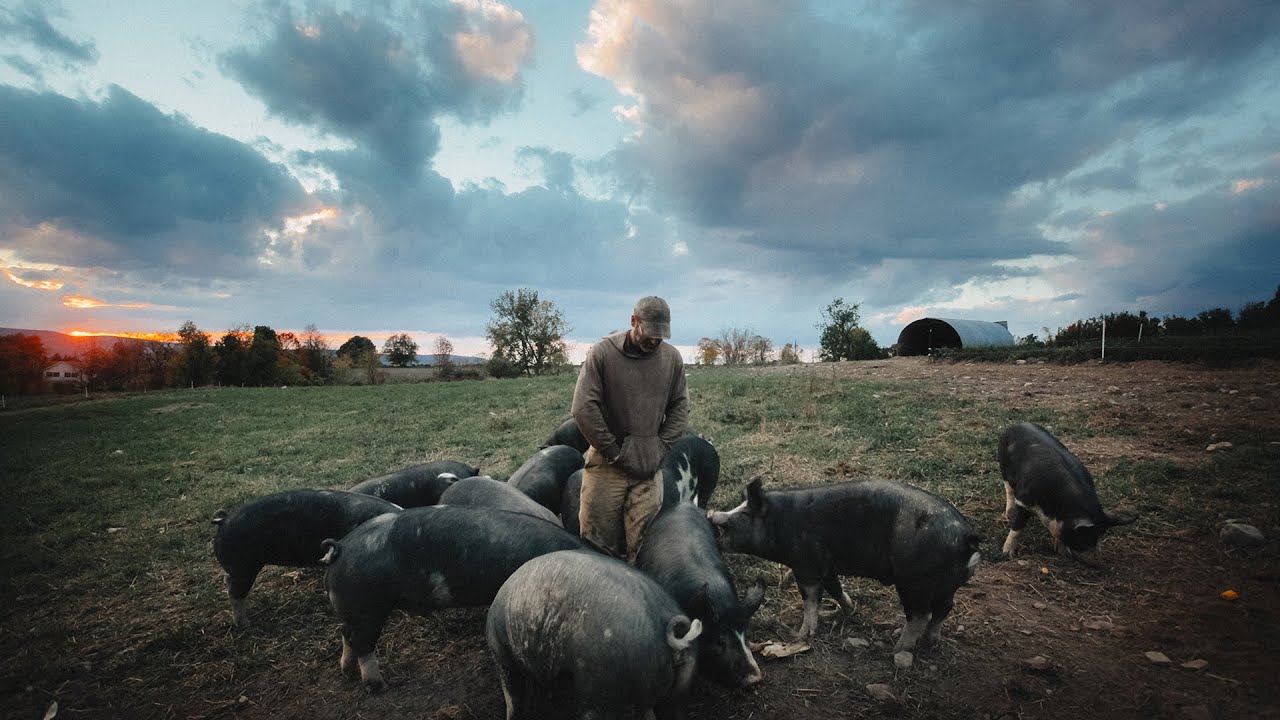 FIFDH 2026 I The Last Pig · Trailer