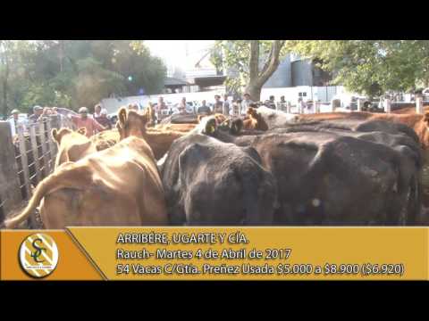 04-04-17 - Venta de vientres - Arribere, Ugarte y Cía - Rauch