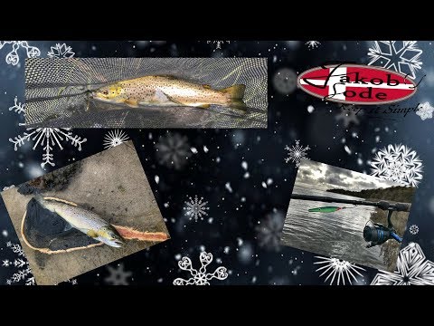 Tips og tricks til vinterfiskeri efter havørred