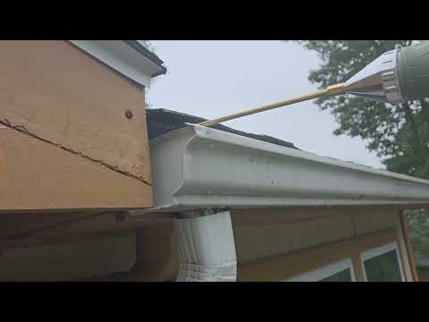 Up Close & Personal with European Hornets in West Creek, NJ