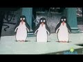 Sesame Street 3 Little Penguins Subtraction Song