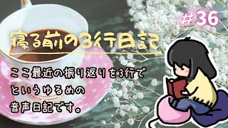 寝る前の3行日記　youtubeで36回目(๑•᎑•๑)
