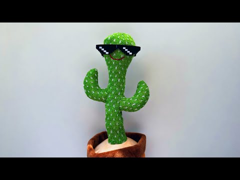 Talking cactus be like: