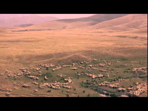 download lagu mp3 mp4 Heriford, download mp3 Heriford free download, download mp3 Heriford