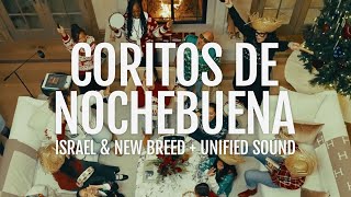 Coritos De Nochebuena
