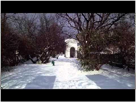 LC # GROB ~ Fran LEVSTIK ¤ (20)11_JUL_25