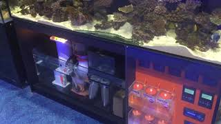 What to do if your aquarium power goes out