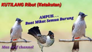 Download lagu Suara Pikat Burung Kutilang (suara ketakutan) mp3