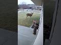 Well He Almost Got That Buck Hunting Deer Outdoors Funny Meme Deerhunting Whitetail