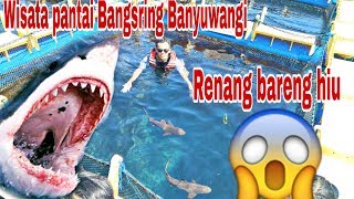 preview picture of video 'Wisata Pantai Bangsring Banyuwangi(Pesona alam JawaTimur)'