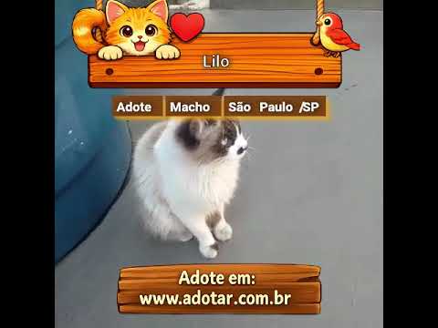 Vídeo de Lilo 