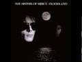 The Sisters of Mercy-- Neverland (Demo Mix) 