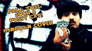 Paaji tussi such a pussycat-Mandolin cover music video