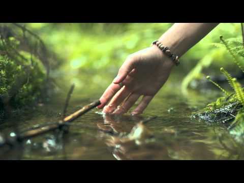 Magic - Demetra & VIP band