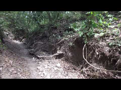 Costa Rica Enduro Riding KTM 250XC CABUYA Riverbed