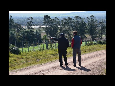 153B - Alfredo Rubio, Lecheria; Ámilca Moreira de Ospitaleche. Juan Libonatti, Campamentos.