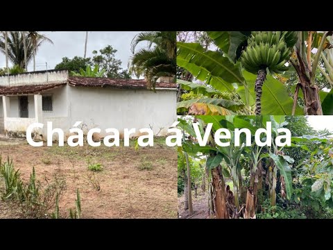 CHÁCARA Á VENDA EM REMÍGIO PB VALOR 110 MIL ZAP 83 99967-15626541650660