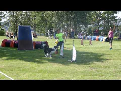 Flush A3 #2 | Riga Cup 2019 | 17.08.2019