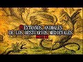 8 Extraños Animales De Los Bestiarios Medievales Parte III