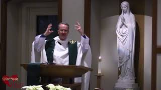Video Homily Excerpt - The Mystery of God&#39;s Grace
