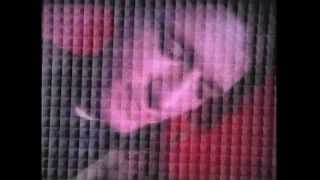 Camper Van Beethoven "Turquoise Jewelry"