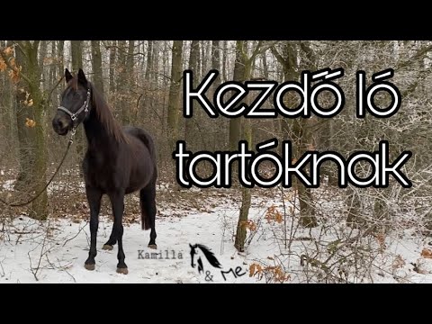 , title : 'Tippek/ tanácsok ló vásárlás előtt állóknak! | Kamilla and Me'