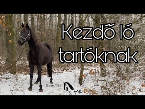 A giardiasis kezelés a leghatékonyabb