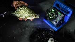 Crappie Feeding Frenzy | Ice Fishing at Night!