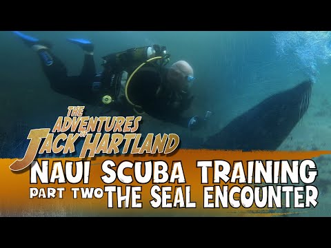 NAUI Scuba Training Par Two: The Seal Encounter