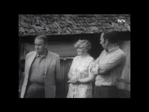 Alf Prøysen om Steinrøysa neri bakken