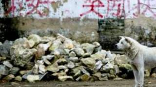 Pooh - Città proibita