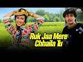 Ruk Jaa Mere Chhaila Tu Sadhana Sargam Hits 90s Song L Ishq Mein Jeena Ishq Mein Marna