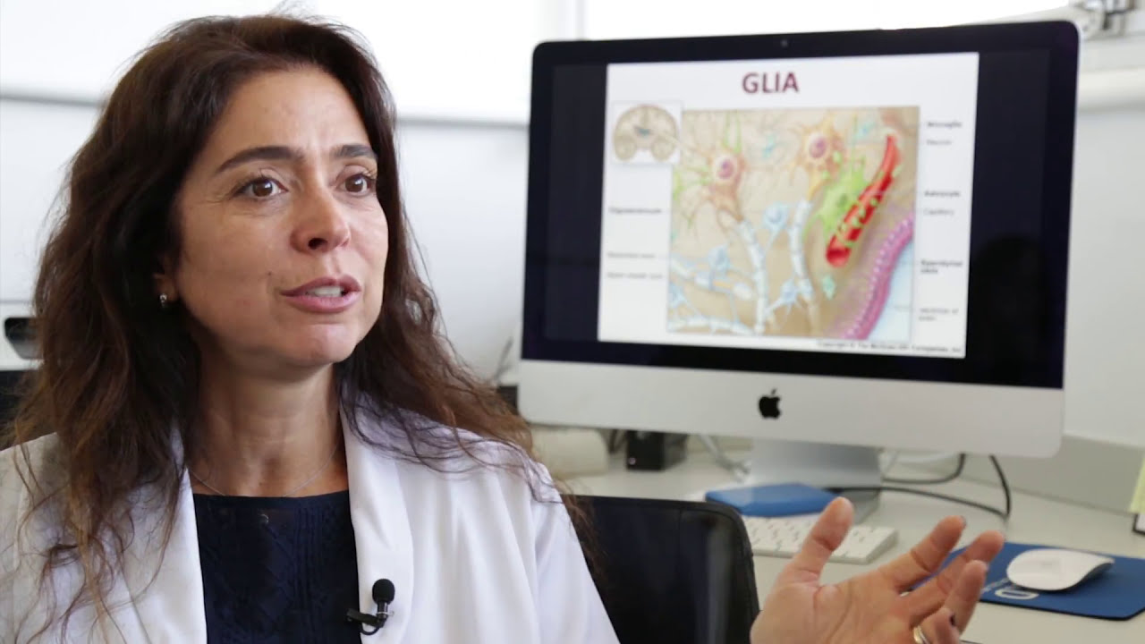 Entenda a função do neurônio e do astrócito | NDC 01