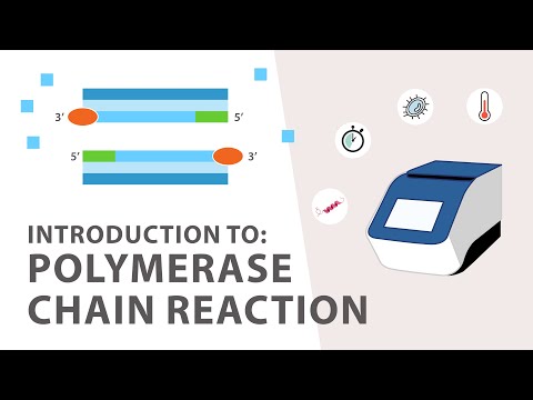 1) PCR (Polymerase Chain Reaction) Tutorial - An Introduction Video