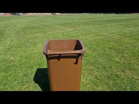 Hartlepool borough Council tyrants 7