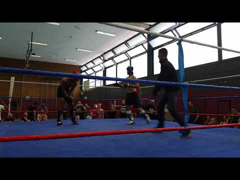 Ali Rashnoo k1 fight 2016